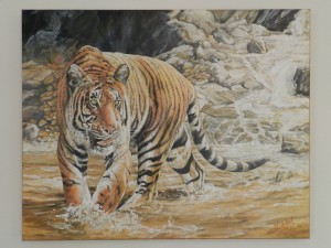 Tijger in water